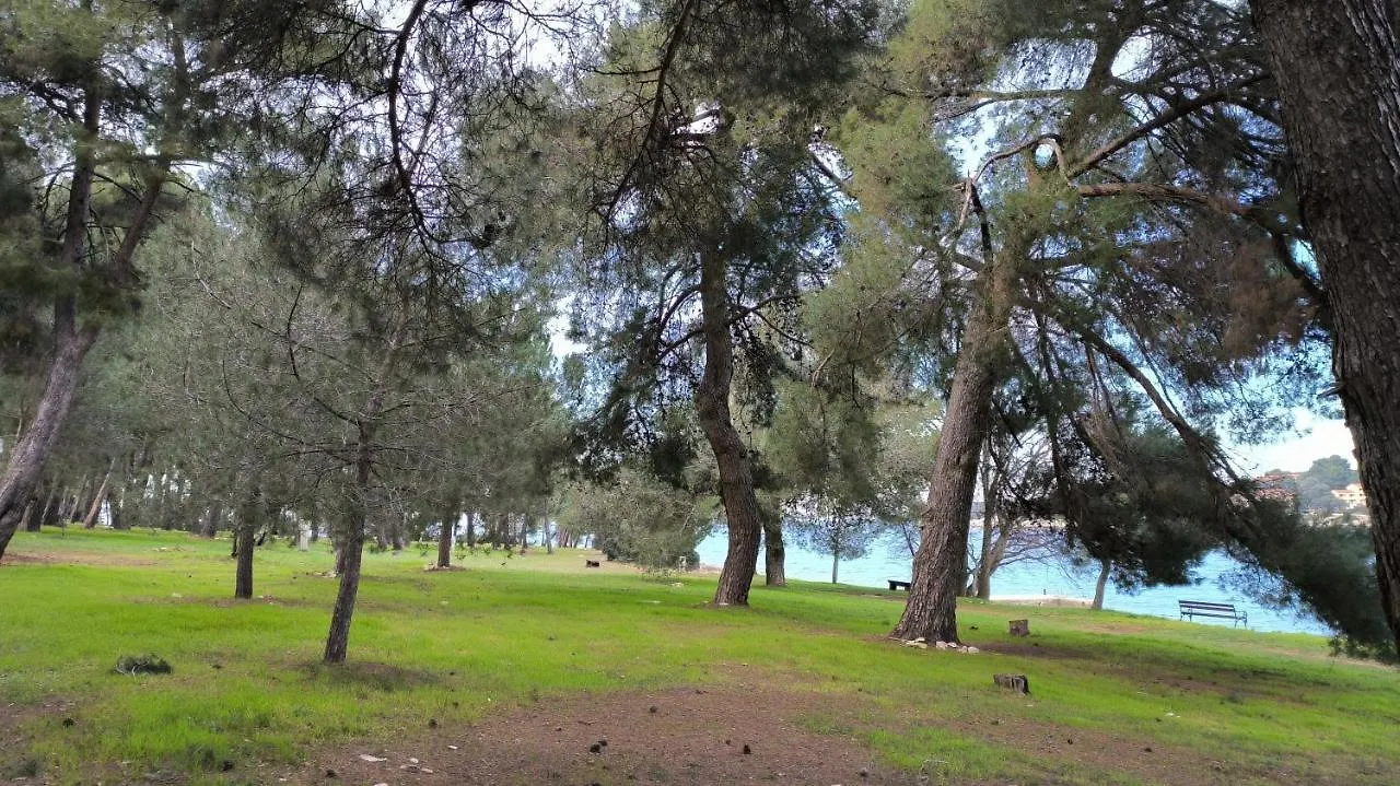 Apartment Papalina Vrsar Hırvatistan